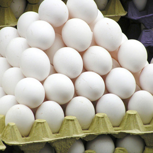RGD Products - Eggs
